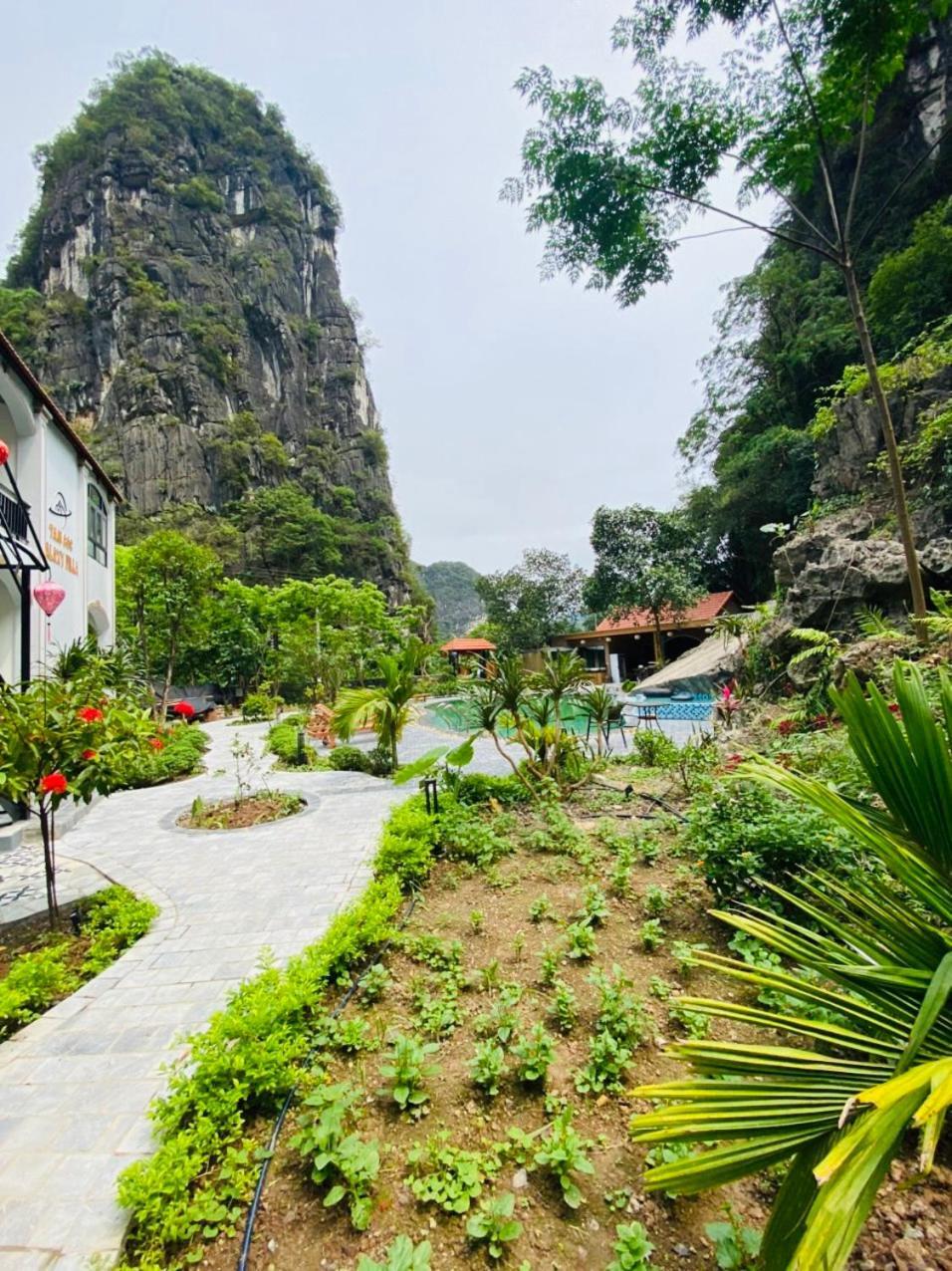 Tam Coc Galaxy Villa ニンビン エクステリア 写真